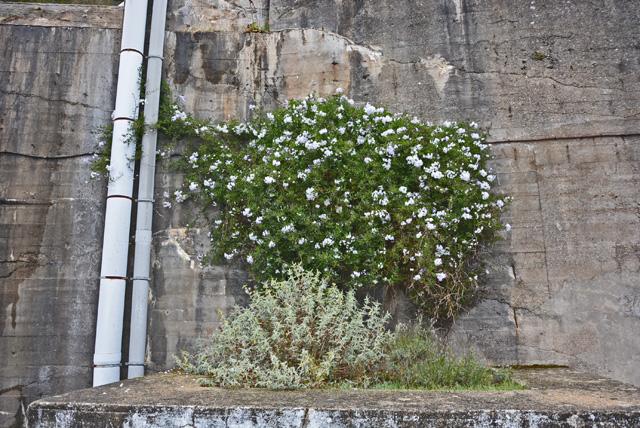 min 2016 10 15 morbihan 095